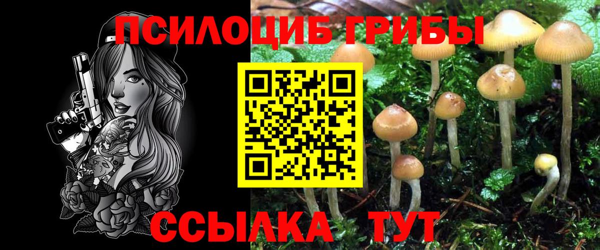 ГАШ  Alpha-PVP СОЛЬ кристаллы  МАРИХУАНА  КОКАИН  MDMA  Нижневартовск  Меф МЯУ МЯУ кристаллы  Вход с VPN 