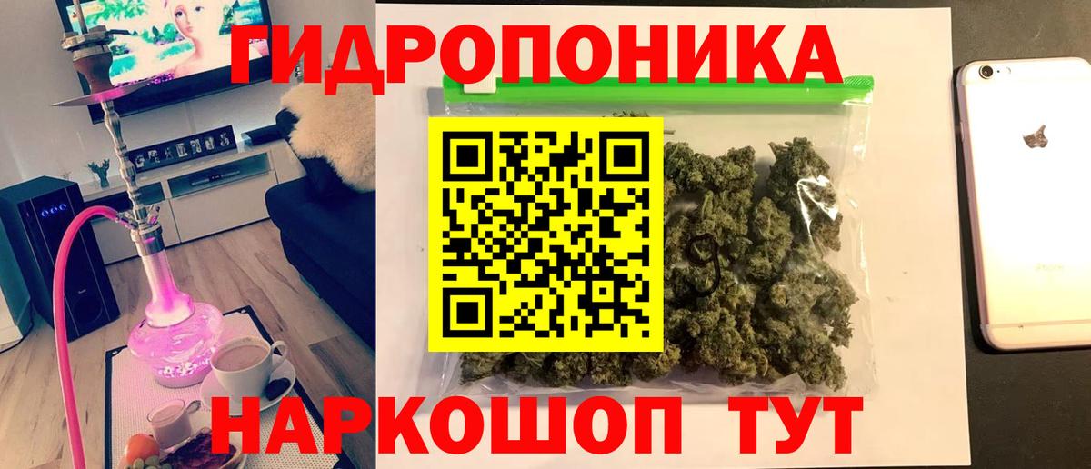 Конопля гибрид Нижневартовск